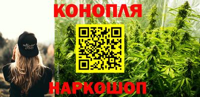 PSILOCYBIN Заводоуковск