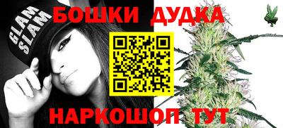 PSILOCYBIN Заводоуковск