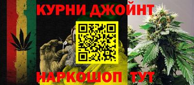 PSILOCYBIN Заводоуковск